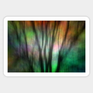 Abstract Winter Trees Sticker